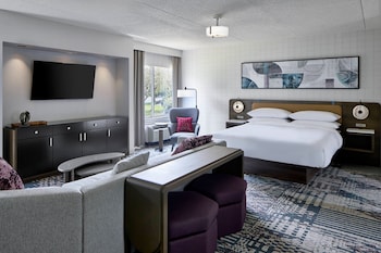Suite, 1 King Bed with Sofa bed