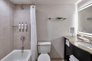 Suite, 1 King Bed with Sofa bed