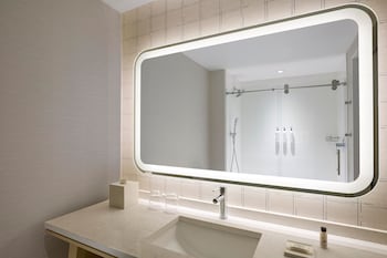 Suite, 1 King Bed with Sofa bed