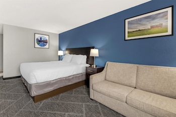 Standard Room, 1 King Bed, Non Smoking, Refrigerator & Microwave (with Single Sofabed)