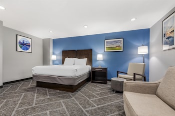 Standard Room, 1 King Bed, Refrigerator & Microwave, Pool View (with Single Sofabed)