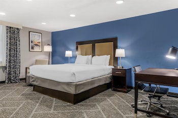 Executive Room, 1 King Bed, Non Smoking, Refrigerator & Microwave (Shower Only;with Single Sofabed)