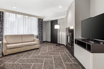 Executive Room, 1 King Bed, Non Smoking, Fireplace (Shower Only;with Single Sofabed)
