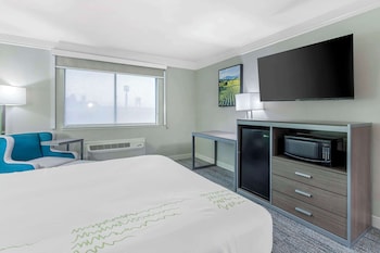 Standard Room, 1 King Bed, Accessible, Non Smoking