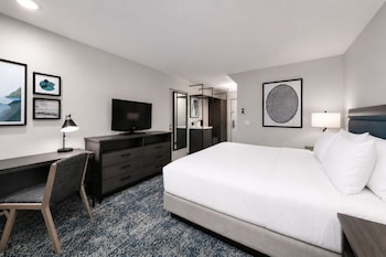 Room, 1 King Bed, Accessible, Bathtub (Roll-In Shower)