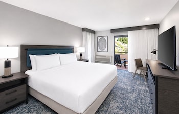 Room, 1 King Bed, Garden View