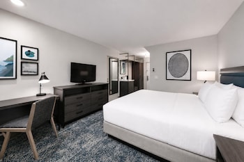 Room, 1 King Bed, Accessible, Bathtub (Hearing)