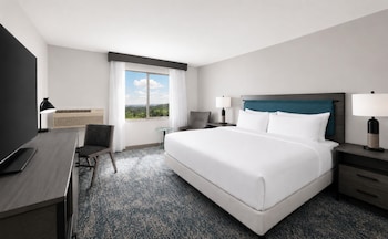 Room, 1 King Bed, Accessible, Bathtub (Hearing)