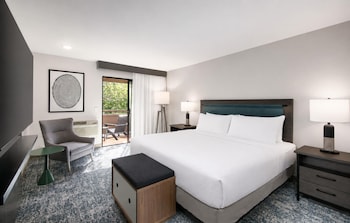 Deluxe Suite, 1 Bedroom