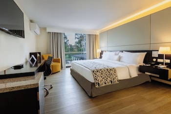 Deluxe Room, 1 King Bed