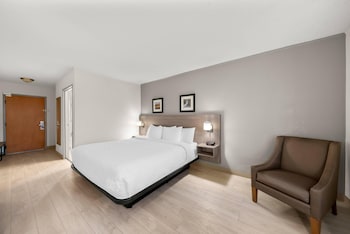 Standard Room, 1 King Bed, Non Smoking