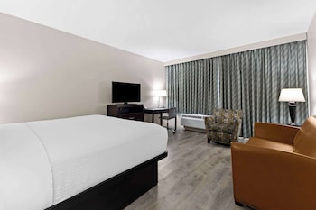 1 King Bed, Non Smoking, Pet Friendly