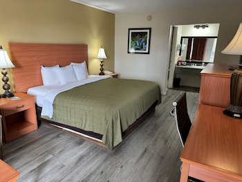 Standard Room, 1 King Bed, Non Smoking