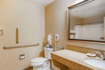 Standard Room, 1 King Bed, Accessible, Non Smoking