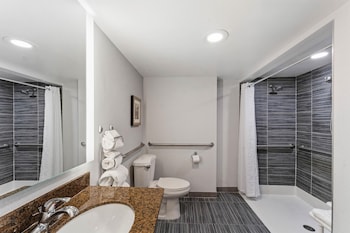Room, 1 King Bed, Accessible (Roll-in Shower)