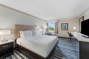 Room, 1 King Bed