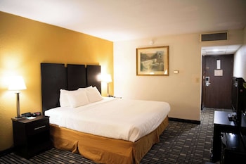 Room, 1 Double Bed, Accessible, Non Smoking