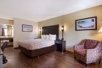 Standard Room, 1 King Bed, Accessible, Refrigerator & Microwave