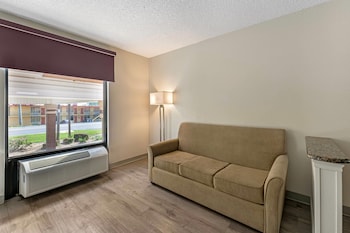 Standard Room, Multiple Beds, Non Smoking