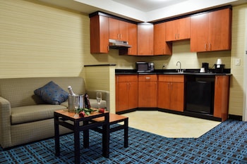 Suite, 1 King Bed with Sofa bed
