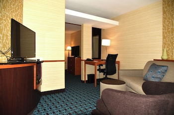 Suite, 1 King Bed with Sofa bed