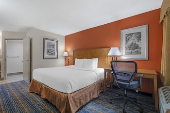 Standard Room, 1 King Bed, Accessible, Non Smoking