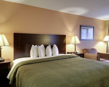 Standard Room, 1 King Bed, Non Smoking