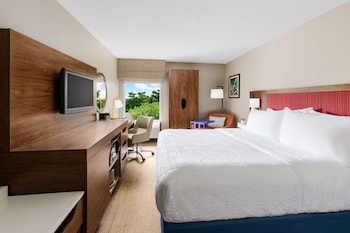 Standard Room, 1 King Bed, Non Smoking
