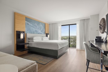 Room, 1 King Bed with Sofa bed