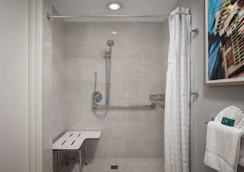 1 King Mobility/Hearing Accessible Roll in Shower