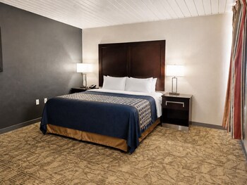 Single Room, 1 King Bed, Non Smoking, Kitchenette
