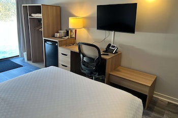 Standard Room, 1 Queen Bed with Sofabed