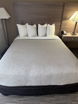 2 Queen Beds with Pull Out Couch