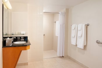 Room, 1 King Bed (Mobility Accessible, Roll-In Shower)