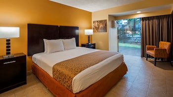 Standard Room, 1 King Bed, Refrigerator & Microwave, Courtyard View (Pet Friendly)