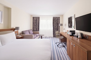 Standard Room, 1 King Bed with Sofa bed
