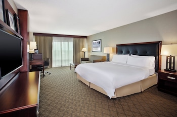 Standard Room, 1 King Bed with Sofa bed