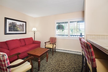 Suite, 1 King Bed, Non Smoking, Refrigerator & Microwave (with Sofabed)