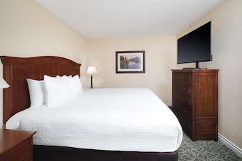 Suite, 1 King Bed, Non Smoking, Refrigerator & Microwave (with Sofabed)