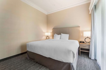 Suite, 1 King Bed, Kitchen, Courtyard View (Living Room;with Sofabed)