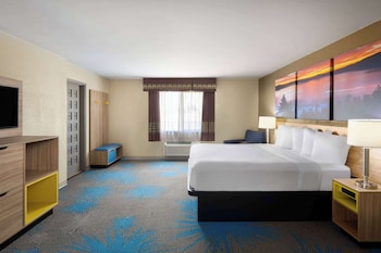 Suite, 1 Bedroom, Non Smoking