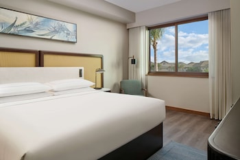 1 Bedroom Resort View King Roll In Shower
