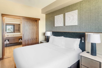 1 Bedroom Ocean View King Deluxe Suite