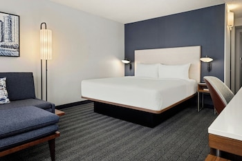 Room, 1 King Bed with Sofa bed (Mobility Accessible, Roll-In Shower)