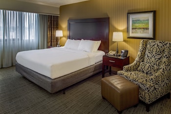 Junior Room, 1 King Bed
