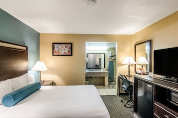 Room, 1 King Bed