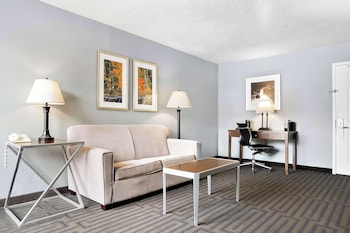 Suite, 1 King Bed, Non Smoking, Refrigerator & Microwave (with Sofabed)