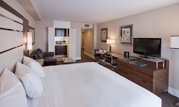 Studio, 1 King Bed with Sofa bed