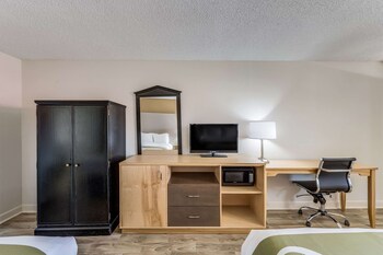 Room, 1 King Bed, Accessible, Non Smoking