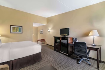 Standard Room, 1 King Bed, Non Smoking (with Sofabed)